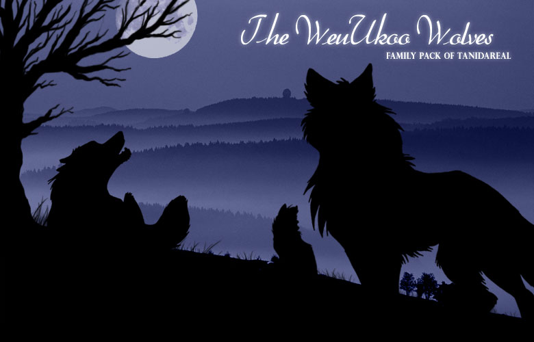 The WeuUkoo Wolves - Family Pack of TaniDaReal