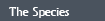 species